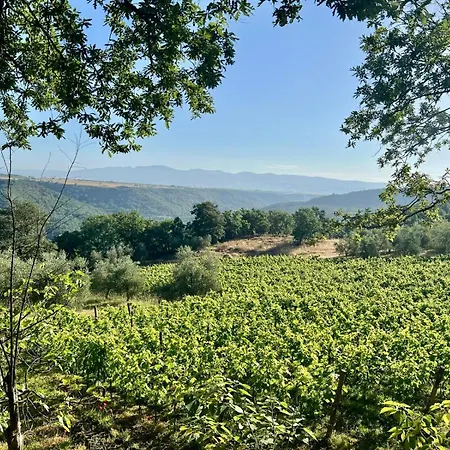 Scelta, Than Just A Soriano nel Cimino